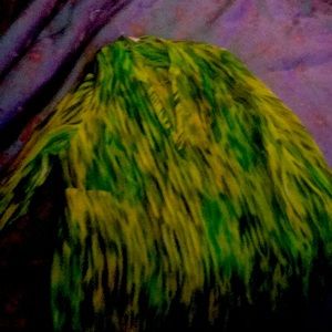 Long Sleeve Sheer Dress Shirt